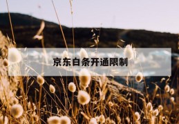 京东白条开通限制