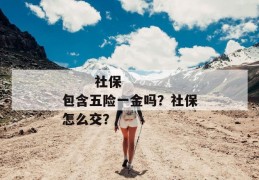 
       社保包含五险一金吗？社保怎么交？
     