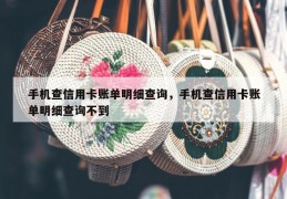 手机查信用卡账单明细查询，手机查信用卡账单明细查询不到