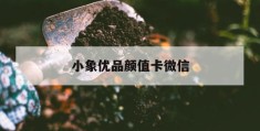 小象优品颜值卡微信