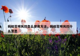 蚂蚁花呗风控怎么使用方法，蚂蚁花呗风控什么意思