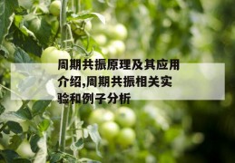 周期共振原理及其应用介绍,周期共振相关实验和例子分析