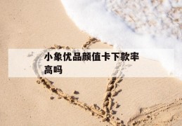 小象优品颜值卡下款率高吗