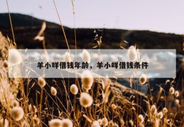 羊小咩借钱年龄，羊小咩借钱条件