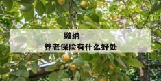 
       缴纳养老保险有什么好处
     