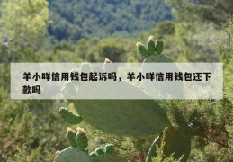 羊小咩信用钱包起诉吗，羊小咩信用钱包还下款吗