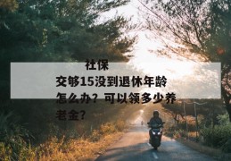 
       社保交够15没到退休年龄怎么办？可以领多少养老金？
     