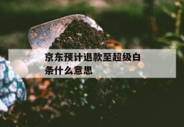 京东预计退款至超级白条什么意思