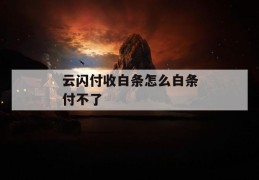 云闪付收白条怎么白条付不了