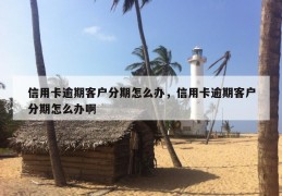 信用卡逾期客户分期怎么办，信用卡逾期客户分期怎么办啊