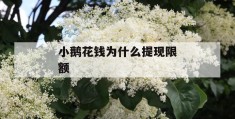 小鹅花钱为什么提现限额