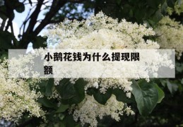 小鹅花钱为什么提现限额