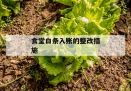 食堂白条入账的整改措施