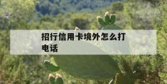 招行信用卡境外怎么打电话