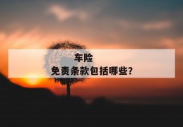 
       车险免责条款包括哪些？
     