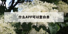 什么app可以套白条