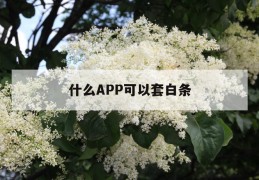 什么app可以套白条