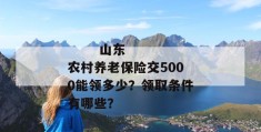 
       山东农村养老保险交5000能领多少？领取条件有哪些？
     