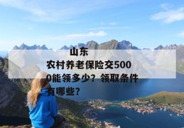 
       山东农村养老保险交5000能领多少？领取条件有哪些？
     