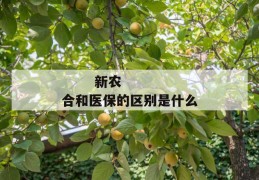 
       新农合和医保的区别是什么
     