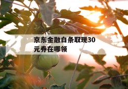 京东金融白条取现30元券在哪领