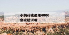 小鹅花钱逾期4000会被起诉嘛