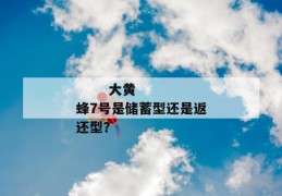 
       大黄蜂7号是储蓄型还是返还型？
     