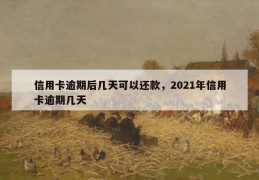 信用卡逾期后几天可以还款，2021年信用卡逾期几天