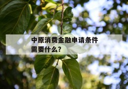 中原消费金融申请条件需要什么？