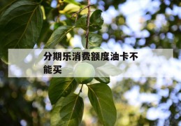 分期乐消费额度油卡不能买