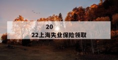 
       2022上海失业保险领取条件哪些
     