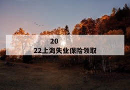 
       2022上海失业保险领取条件哪些
     