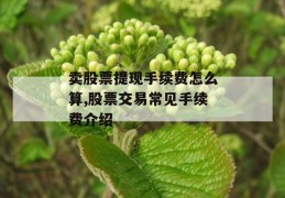 卖股票提现手续费怎么算,股票交易常见手续费介绍