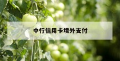 中行信用卡境外支付