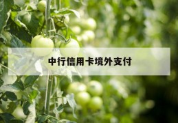 中行信用卡境外支付