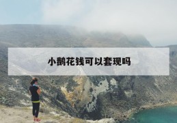 小鹅花钱可以套现吗