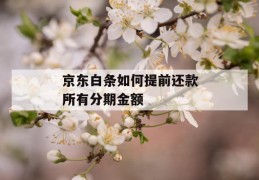 京东白条如何提前还款所有分期金额