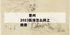 
       惠州2023医保怎么网上缴费
     