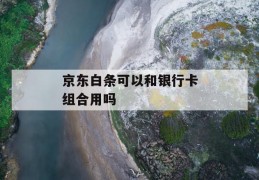 京东白条可以和银行卡组合用吗