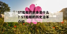 st船舶的前身是什么？st船舶的历史沿革介绍