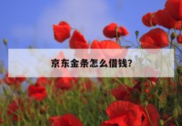 京东金条怎么借钱？