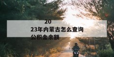 
       2023年内蒙古怎么查询公积金余额
     