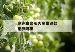 京东白条买火车票退款退到哪里