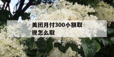 美团月付300小额取现怎么取