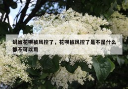 蚂蚁花呗被风控了，花呗被风控了是不是什么都不可以用