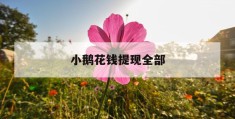 小鹅花钱提现全部