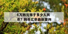 6万韩元等于多少人民币？韩币汇率最新查询