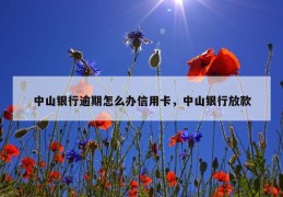 中山银行逾期怎么办信用卡，中山银行放款