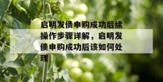 启明发债申购成功后续操作步骤详解，启明发债申购成功后该如何处理