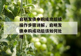 启明发债申购成功后续操作步骤详解，启明发债申购成功后该如何处理